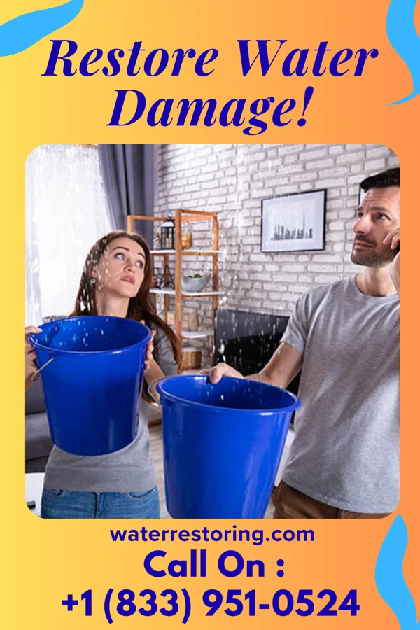 water restoration Modern Sewage Cleanup Contractors Rainsburg