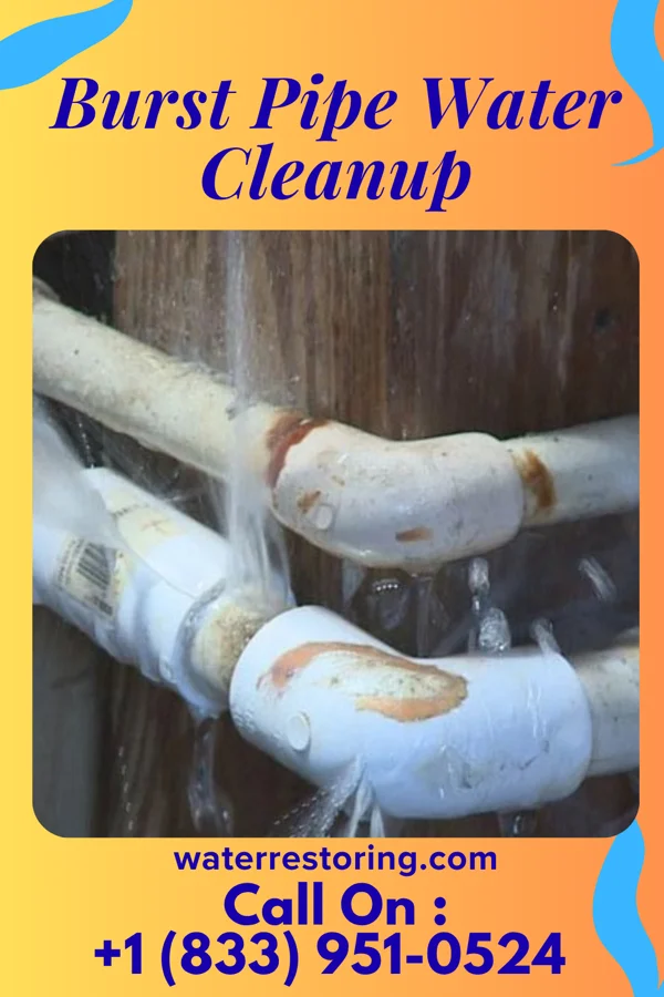 Burst Pipe Water Cleanup in Rainsburg, PA