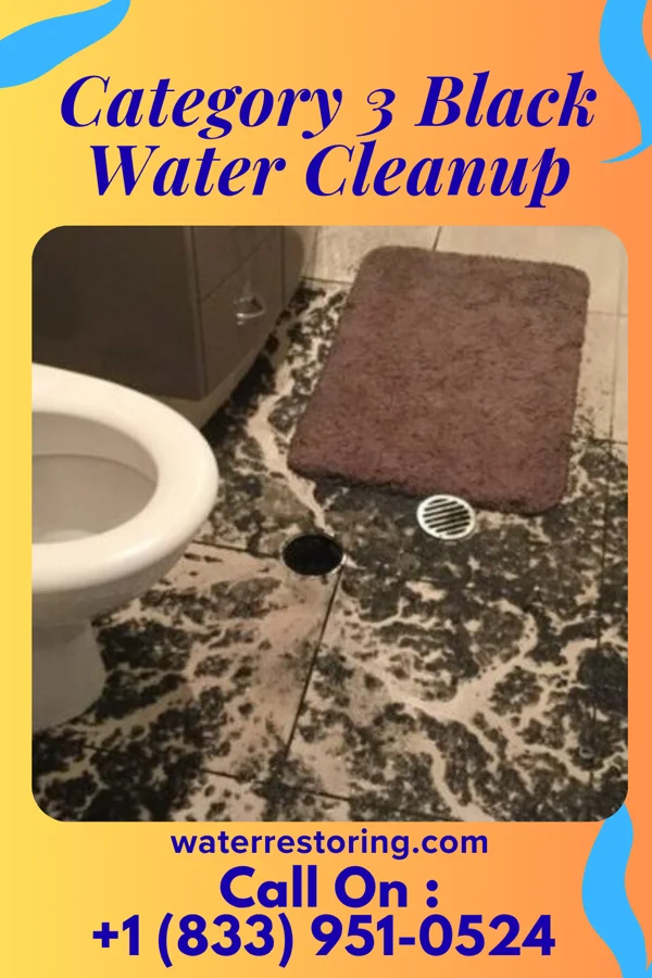 Category 3 Black Water Cleanup in Rainsburg, PA