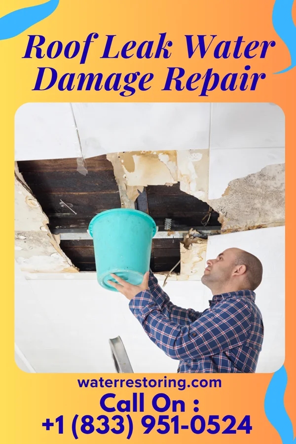 Roof Leak Water Damage Repair in Rainsburg, PA