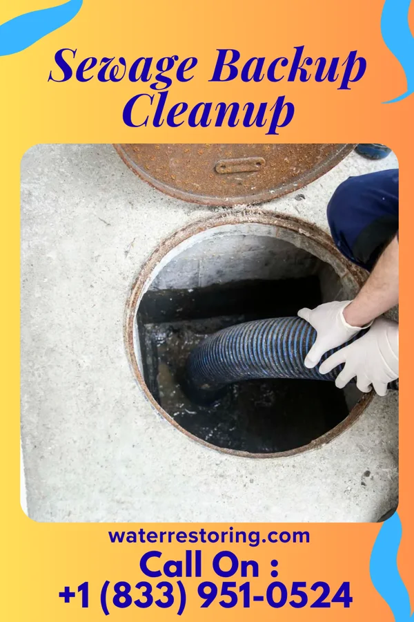 Sewage Backup Cleanup in Rainsburg, PA