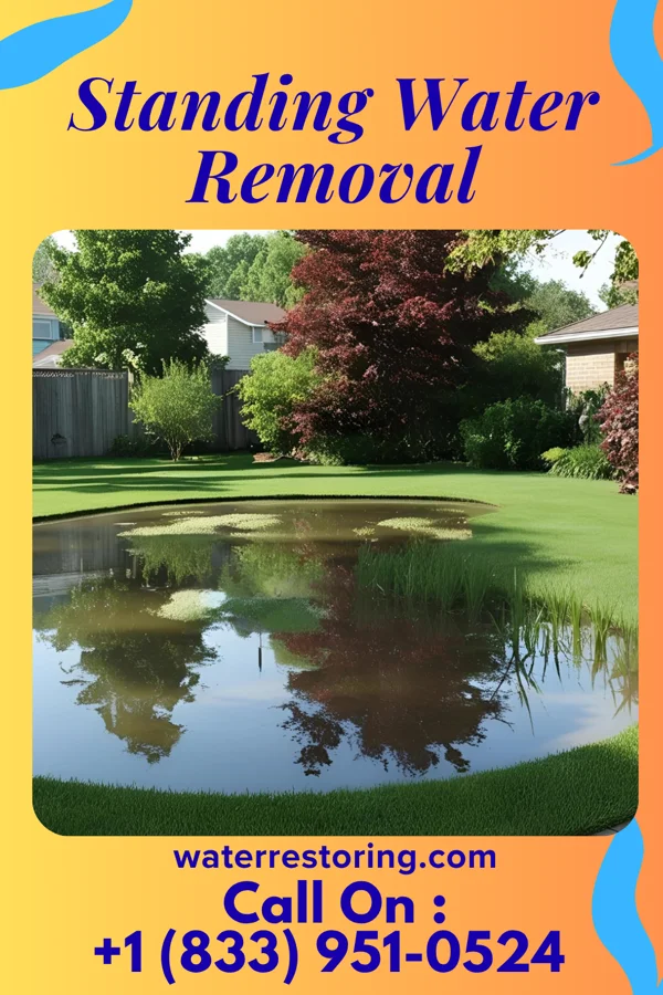 Standing Water Removal in Rainsburg, PA